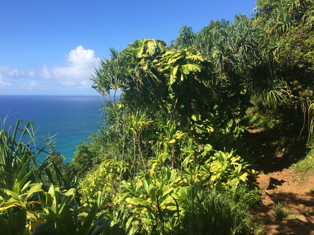 KalalauTrail